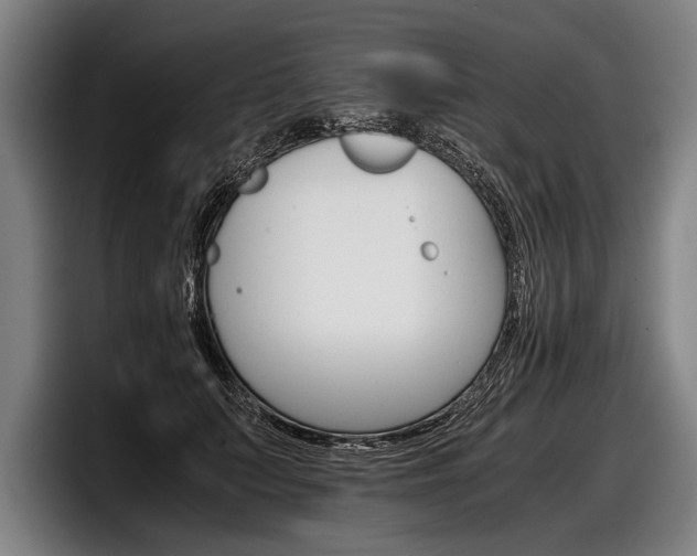 X0000098140703200804171120