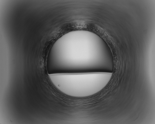 X0000098140704200804171120