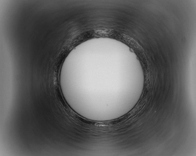 X0000098140706200804171120