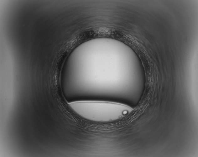 X0000098140708200804171120