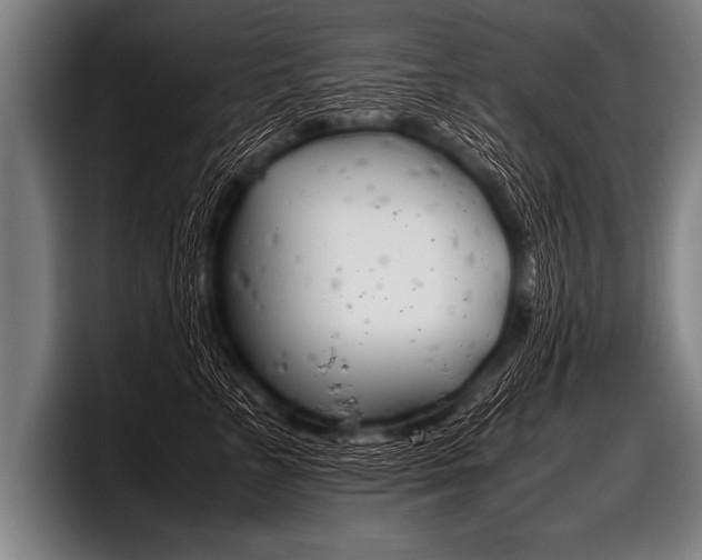 X0000098140715200804171120