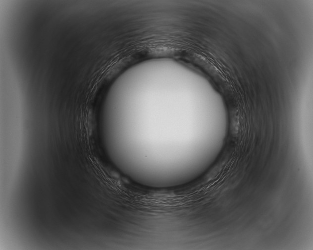X0000098140716200804171120