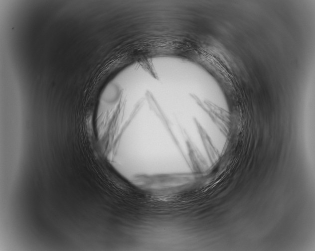 X0000098140717200804171120