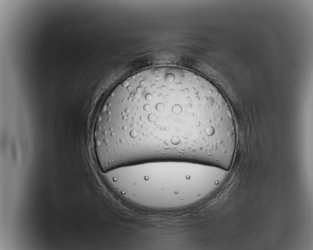 X0000098140721200804171119