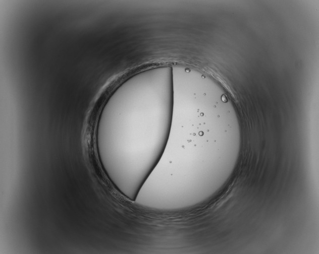 X0000098140723200804171119