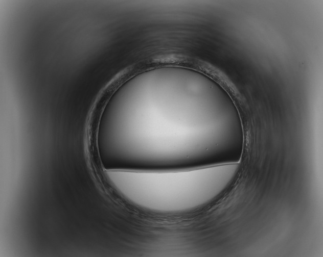 X0000098140724200804171119