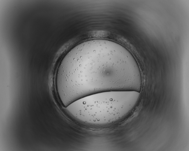 X0000098140725200804171119