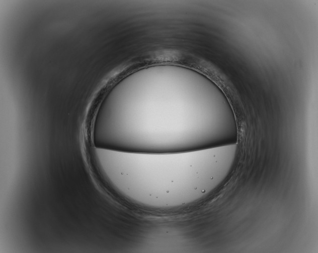 X0000098140726200804171119