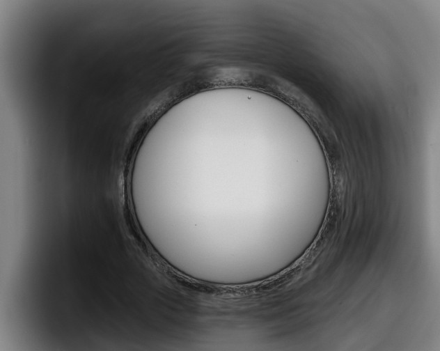 X0000098140729200804171119