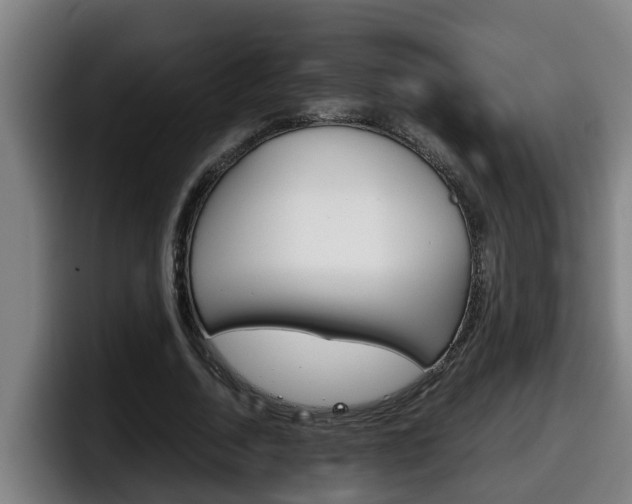 X0000098140730200804171119