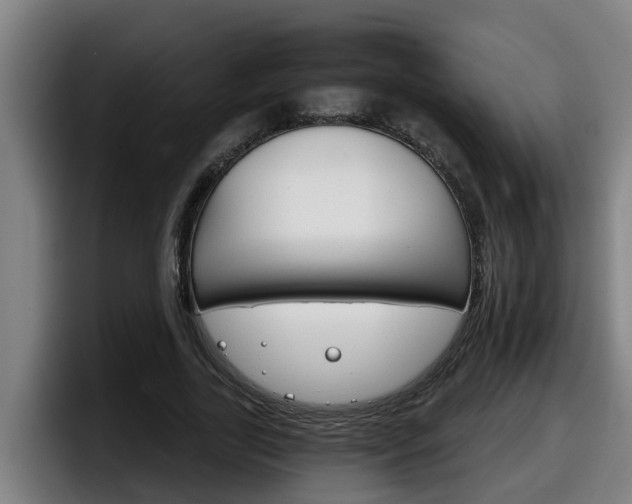 X0000098140731200804171120