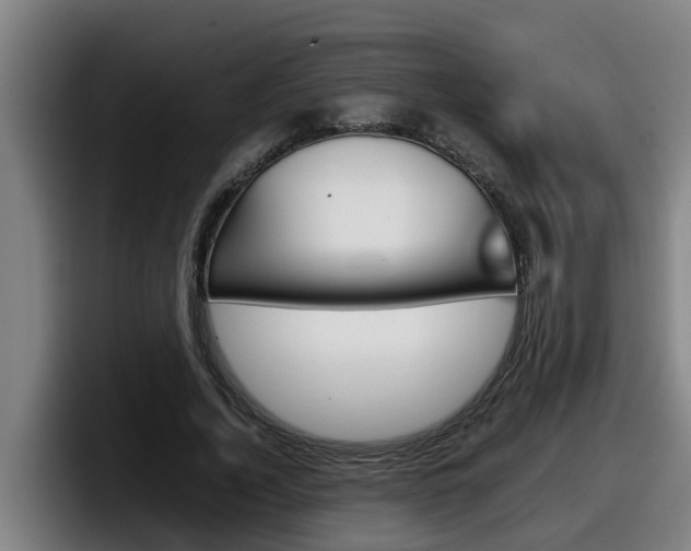 X0000098140732200804171120
