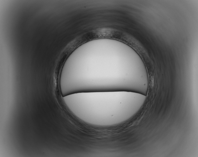 X0000098140733200804171120