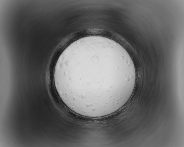X0000098140734200804171120