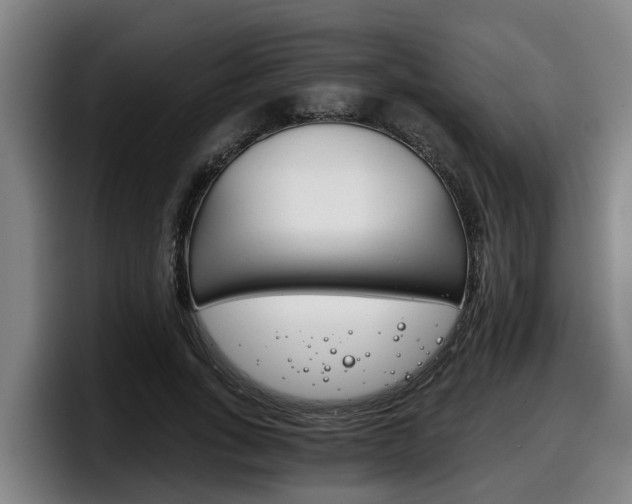 X0000098140735200804171120