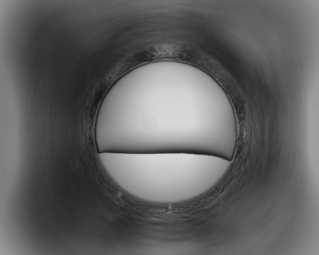 X0000098140737200804171120
