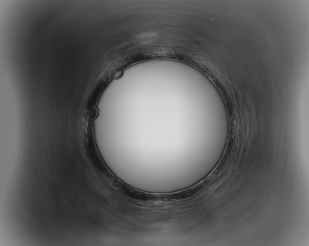 X0000098140739200804171120