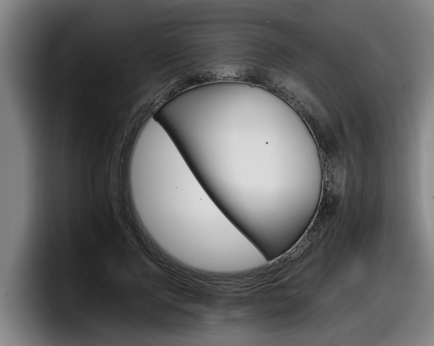 X0000098140740200804171120