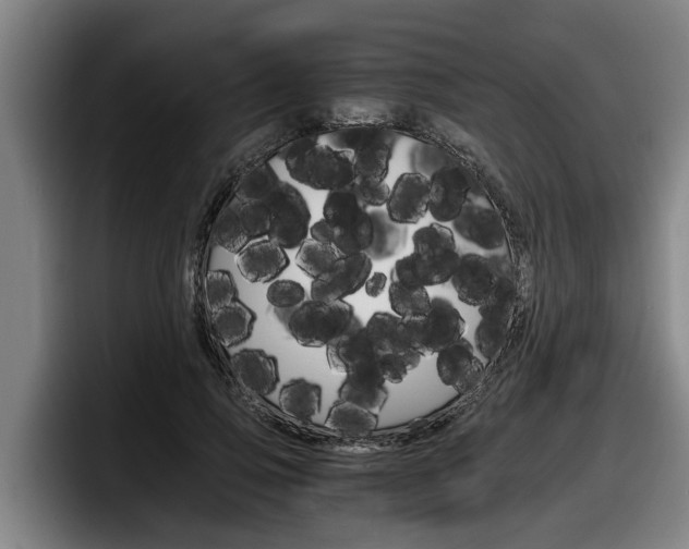 X0000098140741200804171120