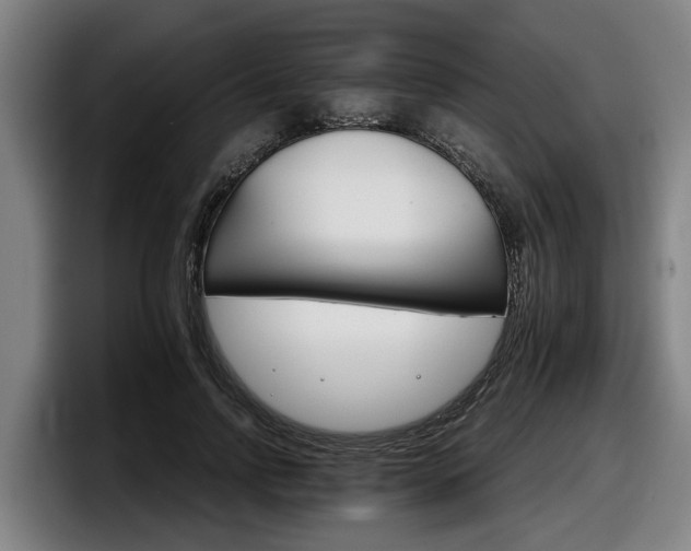 X0000098140742200804171120