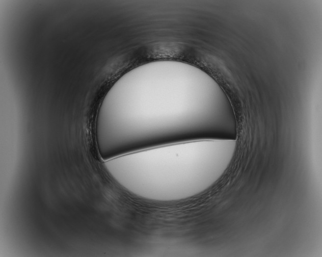 X0000098140743200804171120