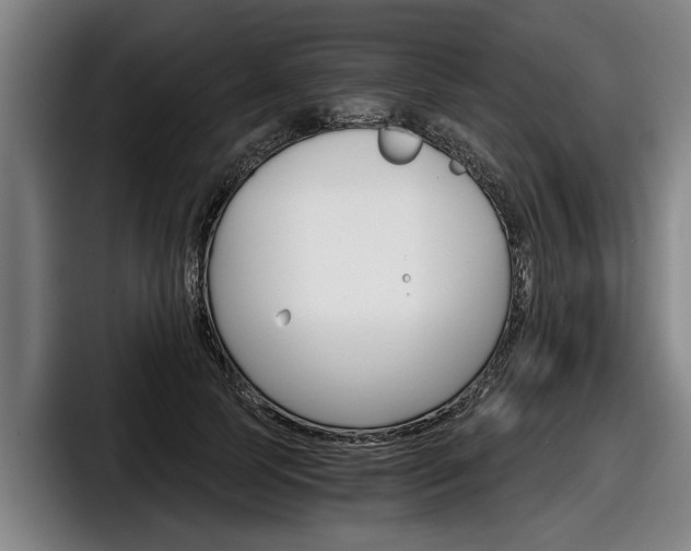 X0000098140745200804171120