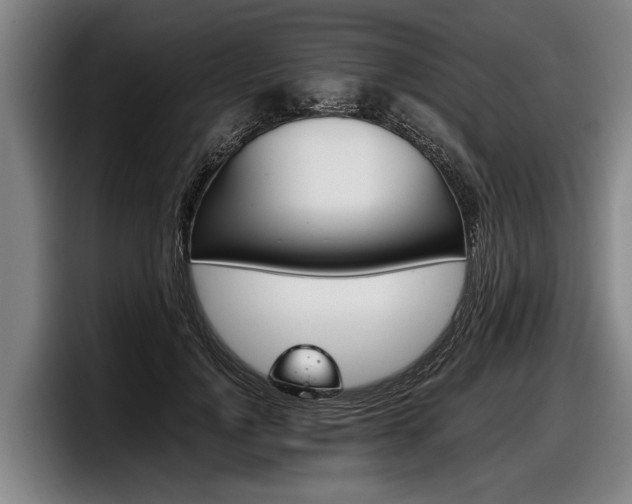 X0000098140748200804171120