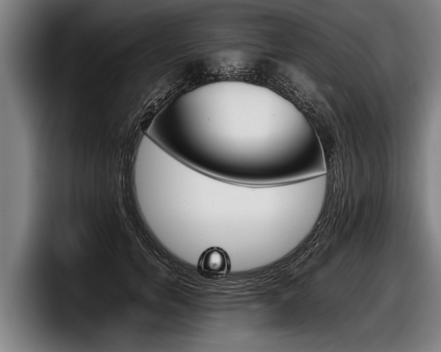 X0000098140750200804171120