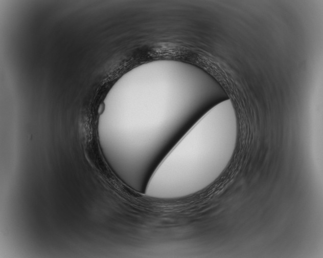X0000098140751200804171120