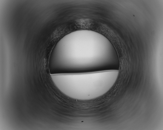 X0000098140752200804171120