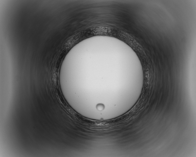 X0000098140753200804171120