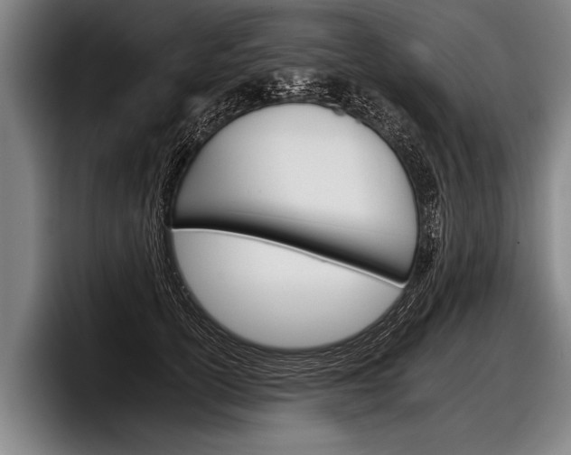 X0000098140754200804171120