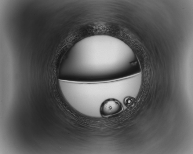 X0000098140756200804171120