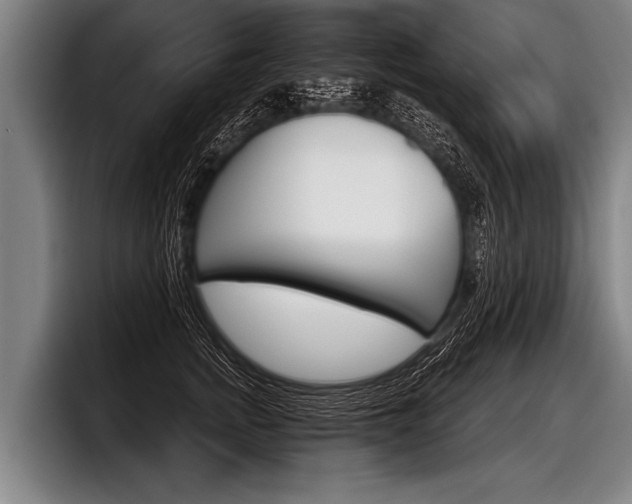 X0000098140758200804171120