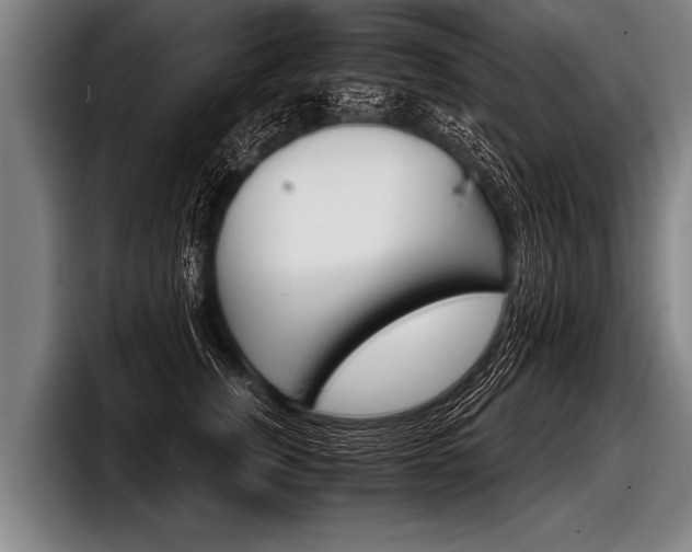 X0000098140759200804171120