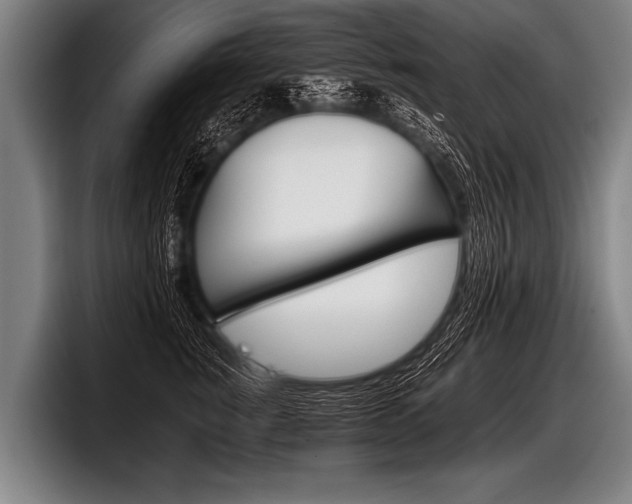 X0000098140760200804171120