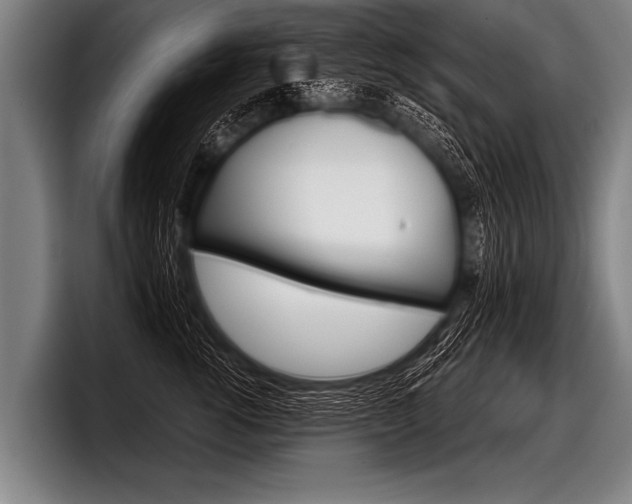 X0000098140762200804171120