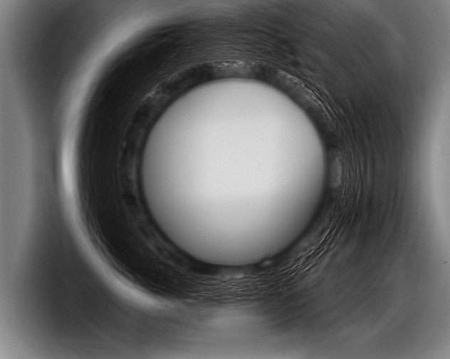 X0000098140764200804171120