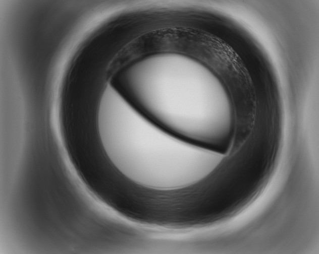 X0000098140766200804171120