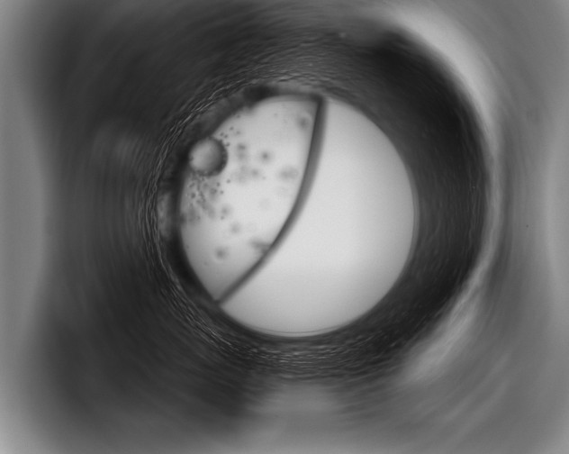 X0000098140767200804171120