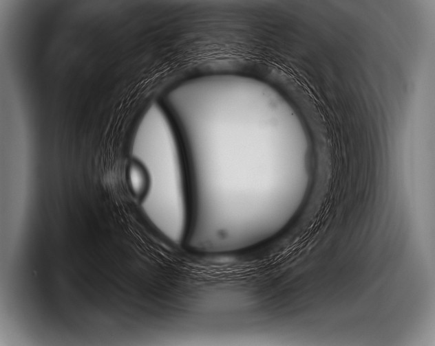 X0000098140768200804171120
