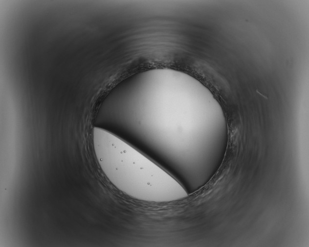 X0000098140772200804171119