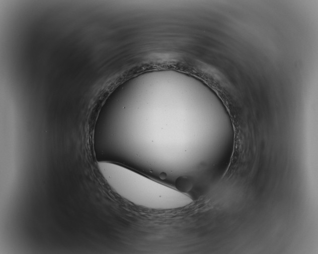 X0000098140773200804171119