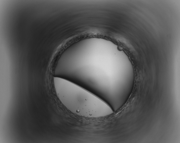 X0000098140776200804171119