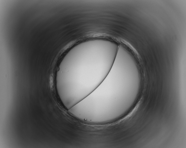 X0000098140777200804171119
