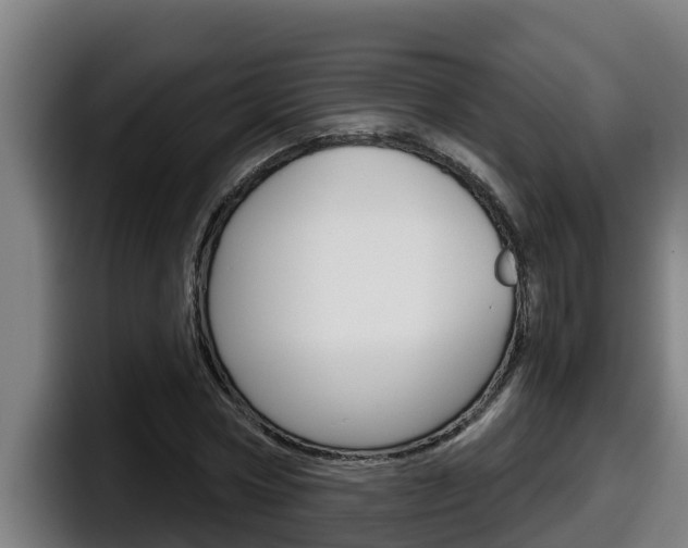 X0000098140778200804171119
