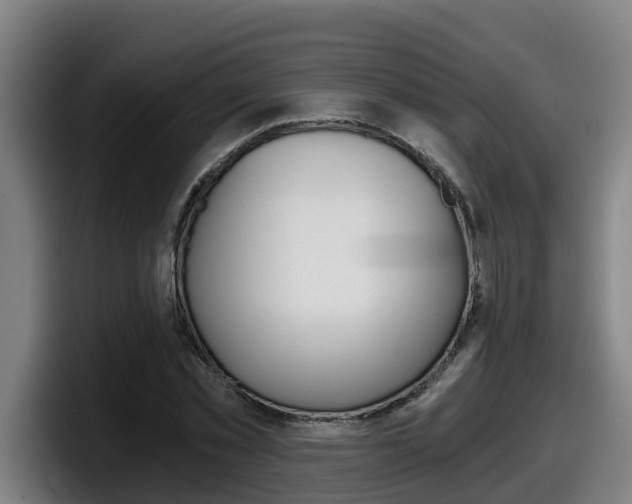 X0000098140781200804171119