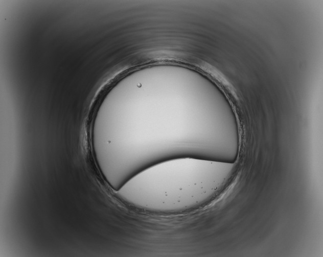 X0000098140782200804171119