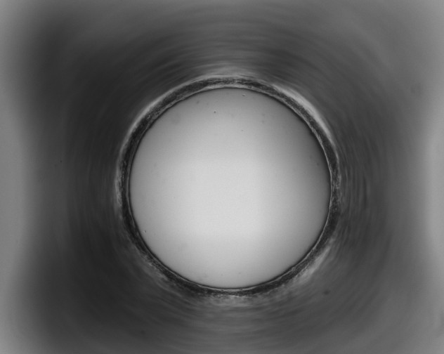 X0000098140783200804171119