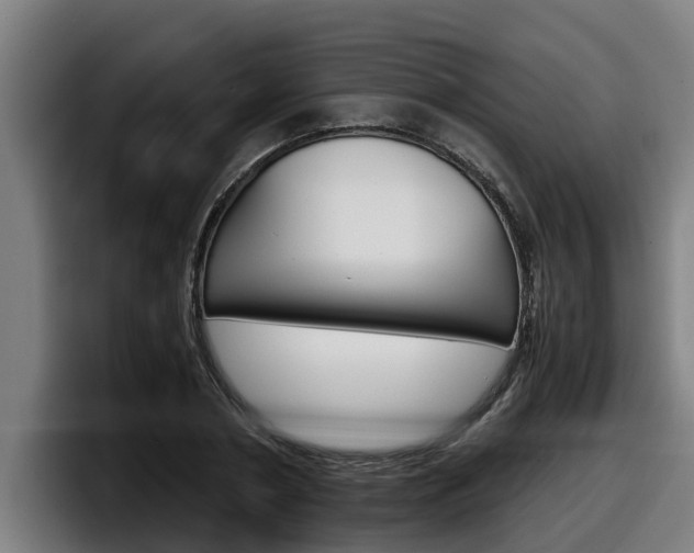 X0000098140786200804171119
